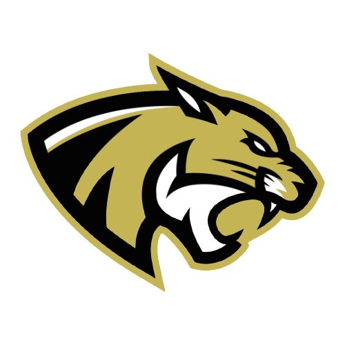 Les Cougars de Saint Ouen l'Aumône