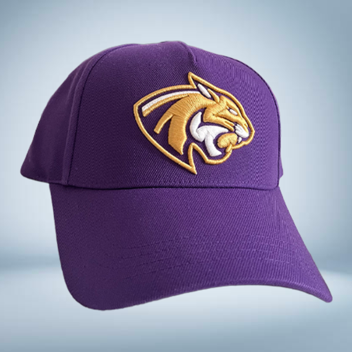 Casquette Wildcats 2025-2026
