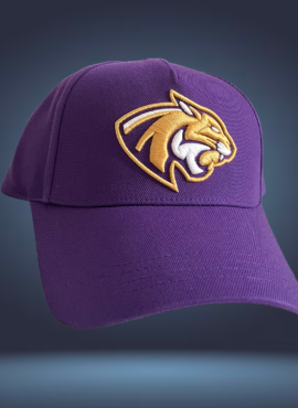 Casquette Wildcats 2025-2026